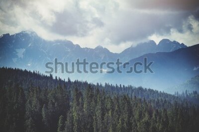 Fototapeta 3d do salonu las, drzewa, góry