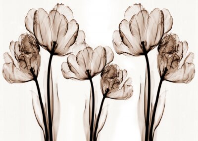 3D kwiaty tulipany