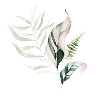 Akwarelowe egzotyczne liście na białym tle