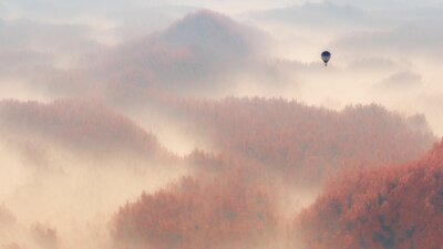 Fototapeta Balon nad lasem we mgle