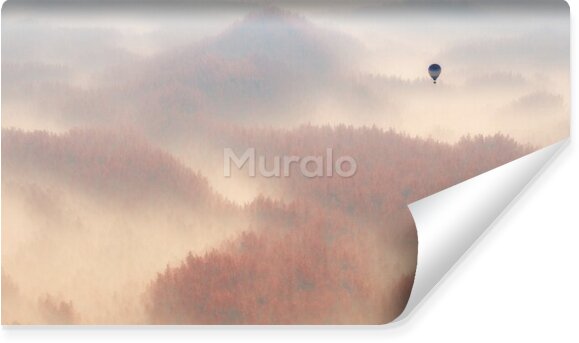 Fototapeta Balon nad lasem we mgle