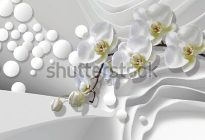 Fototapeta Białe storczyki na abstrakcyjnym tle