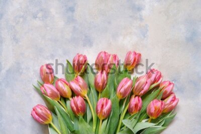 Fototapeta Bukiet Pięknych Tulipanów