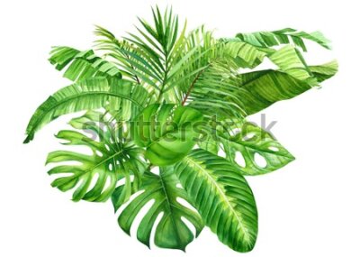 Fototapeta Bukiet roślin tropikalnych