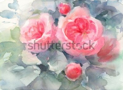 Fototapeta Bukiet róż malowany akwarelą