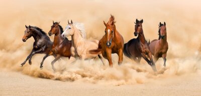 Canvas stado koni w galopie widok 3d