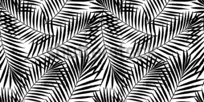 Fototapeta Czarne liście palmowe na białym tle