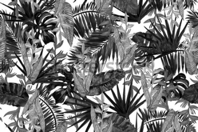 Fototapeta Czarno-białe akwarelowe liście tropikalne