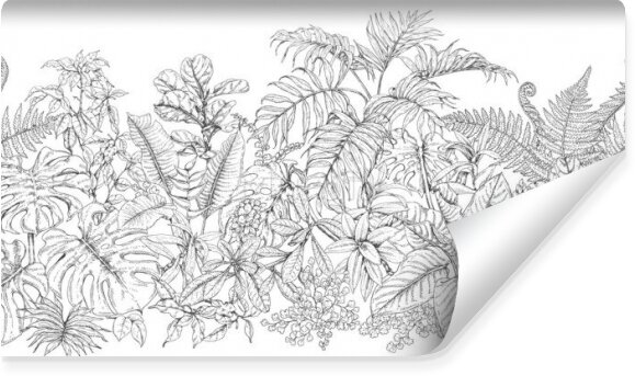 Fototapeta Czarno-białe rysowane tropikalne liście