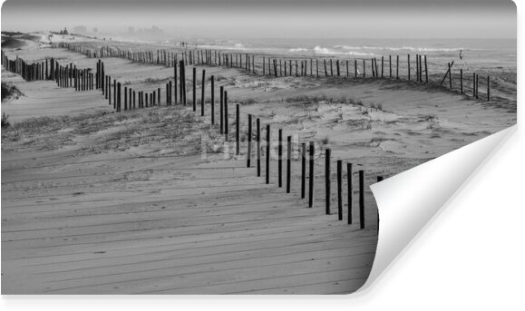 Fototapeta Czarno-biały brzeg dzikiej plaży