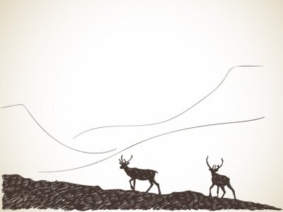 Fototapeta Czarno-biały rysowane jelenie