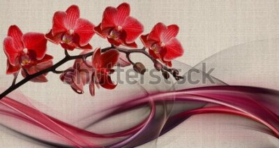 Fototapeta Czerwone orchidee na tle