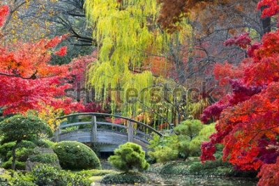 Fototapeta Drewniany Most w Ogrodzie Japońskim