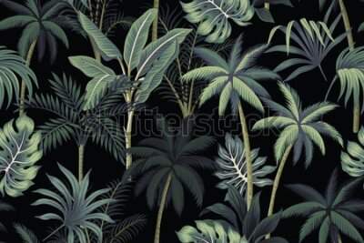 Fototapeta Drzewa i liście palmowe