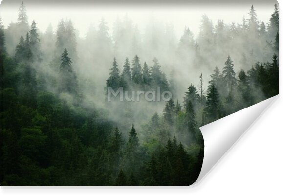 Fototapeta drzewa mgła kraj 3d