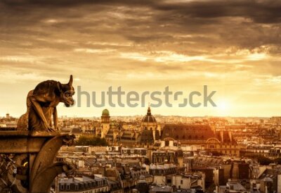Fototapeta Gargulec na tle panoramy Paryża