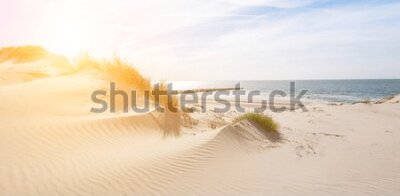 Fototapeta Holenderska plaża o wschodzie słońca