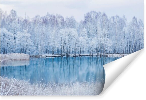 Fototapeta Jezioro w głębi lasu zimowego
