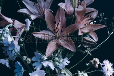 Fototapeta Kolorowe kwiaty na ciemnym tle