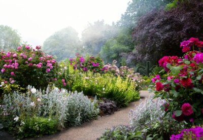Fototapeta Kolorowe Kwiaty w Angielskim Ogrodzie