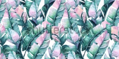 Fototapeta Kolorowe tropikalne liście malowane akwarelą