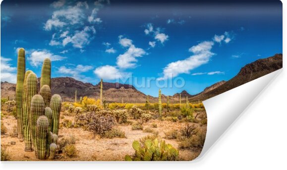 Fototapeta Krajobraz pustyni Arizony