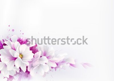 Fototapeta Kwiaty magnolii na malowanym tle