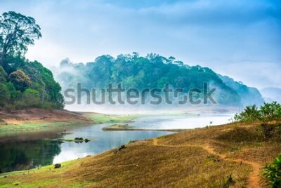 Fototapeta Las nad tropikalną rzeką we mgle