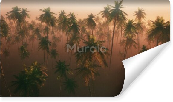 Fototapeta Las palmowy we mgle