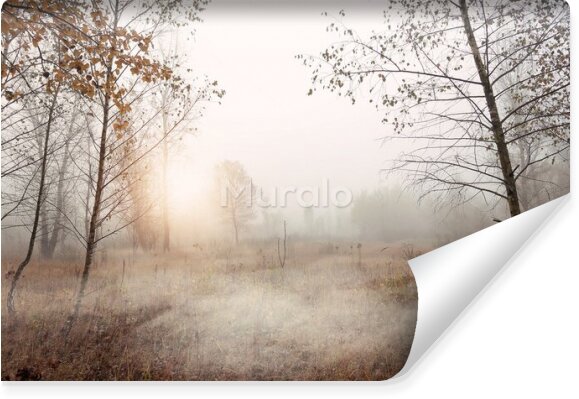 Fototapeta Leśna polana we mgle