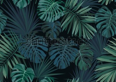 Fototapeta Liście palmowe na ciemnym tle