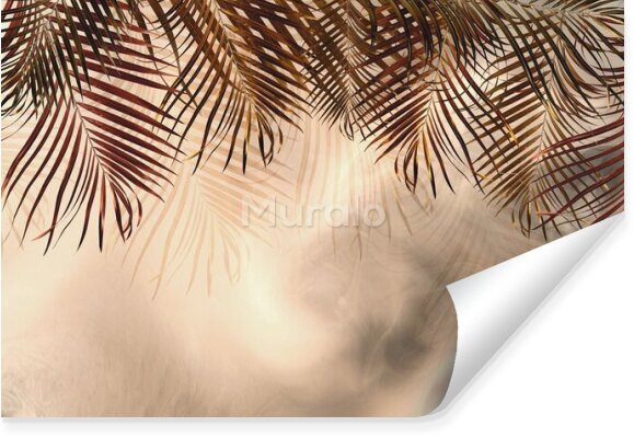 Fototapeta Liście palmowe rośliny natura