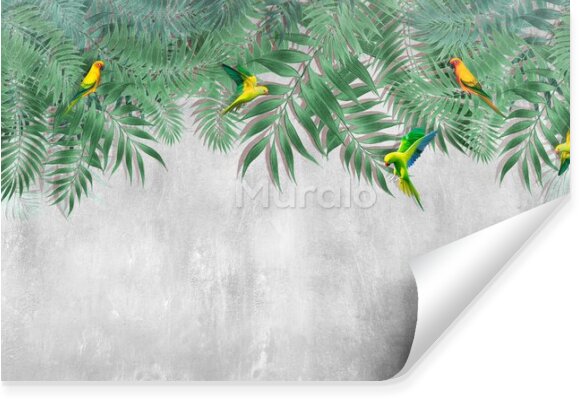Fototapeta Liście tropikalne papugi beton