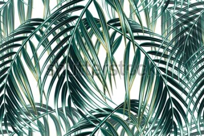 Fototapeta Malowane liście palmowe