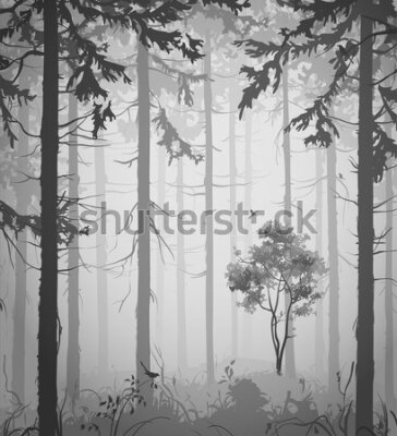 Fototapeta Malowany szary las we mgle