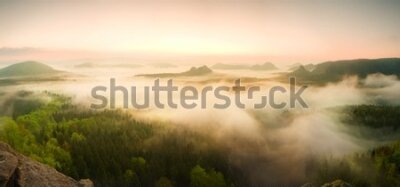 Fototapeta Mgła nad górskim lasem