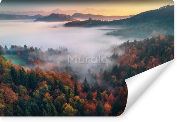 Fototapeta Mgła nad jesiennym lasem