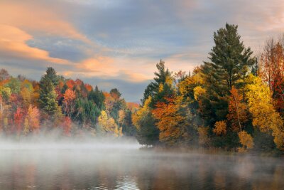 Fototapeta Mgła nad jeziorem w lesie