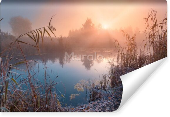 Fototapeta Mgła nad Rzeką