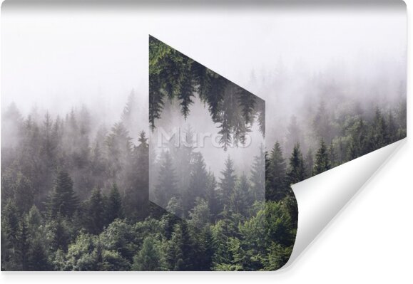 Fototapeta Mglisty zimozielony las z odwróconym wielokątem
