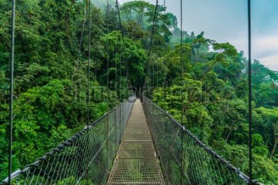 Fototapeta Most Wiszący w Kostaryce