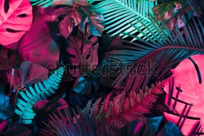 Fototapeta Neonowe liście tropikalne