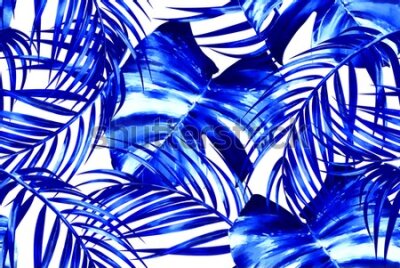 Fototapeta Niebieskie liście palmowe