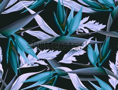 Fototapeta Niebieskie liście tropikalne
