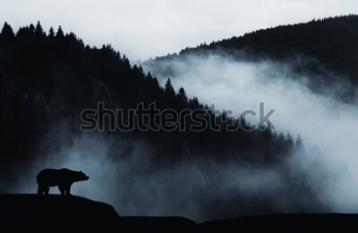 Fototapeta Niedźwiedź w mglistym lesie