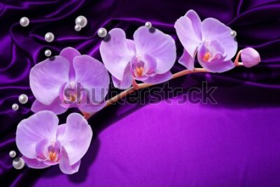 Fototapeta Orchidea i perły na abstrakcji
