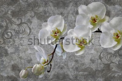 Fototapeta Orchidee na tle ornamentów