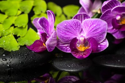Fototapeta Orchidee z liśćmi SPA