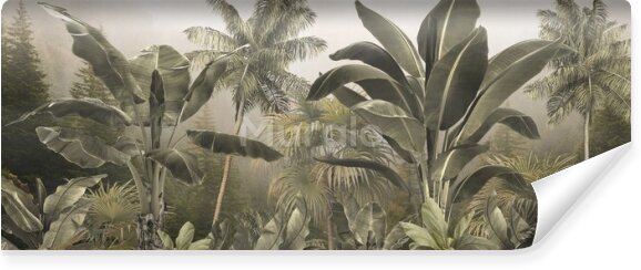 Fototapeta Palmy las tropikalny zieleń 3d