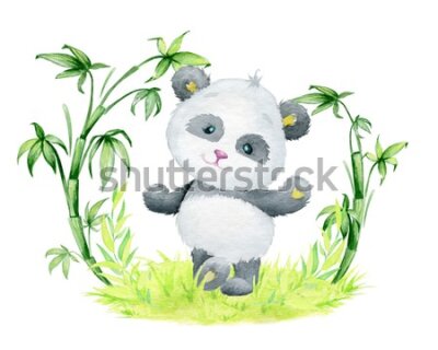 Fototapeta Panda i bambus